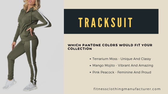 Tracksuit Collection Wholesale Tracksuits