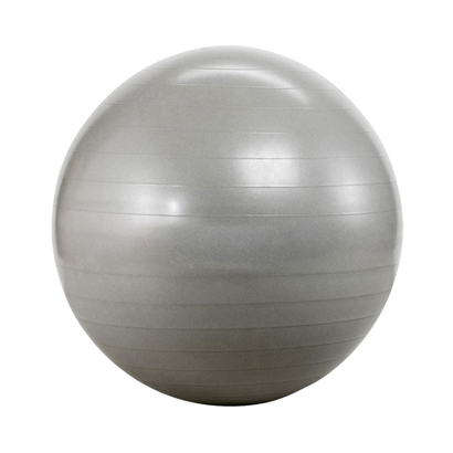 Grey Gym Ball Wholesale