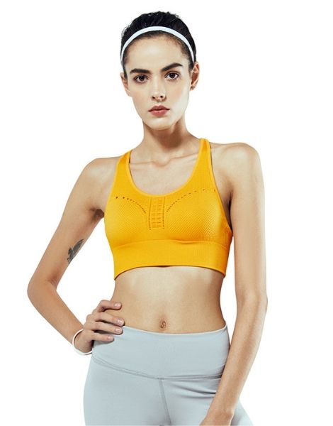 Wholesale High Impact Encapsulation Sports Bra Manufacturers